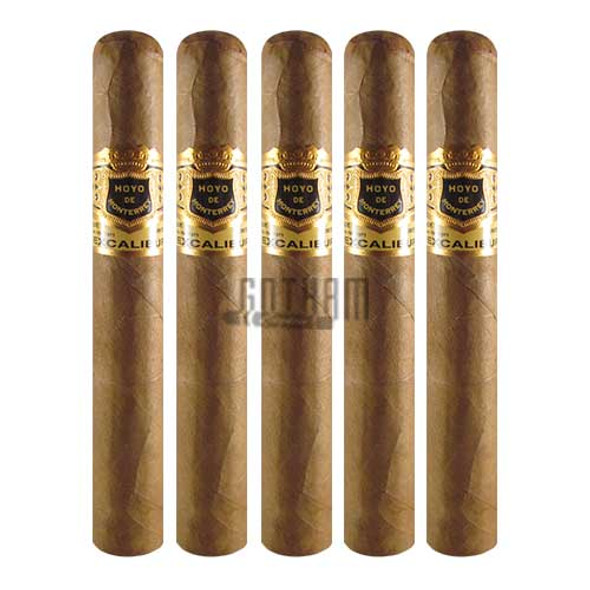 Hoyo de Monterrey Excalibur No. IV Maduro 5PACK